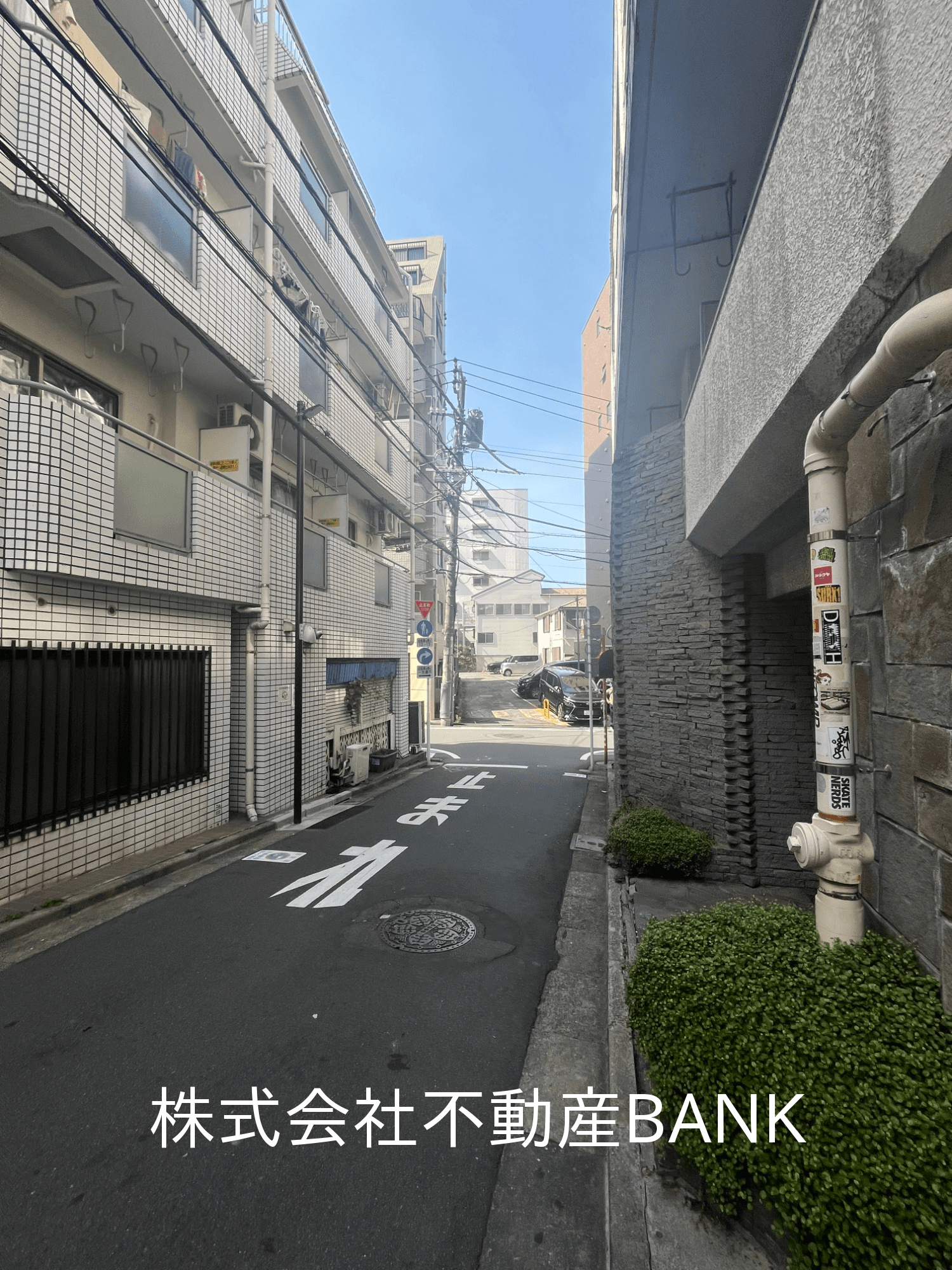 post-image-5910