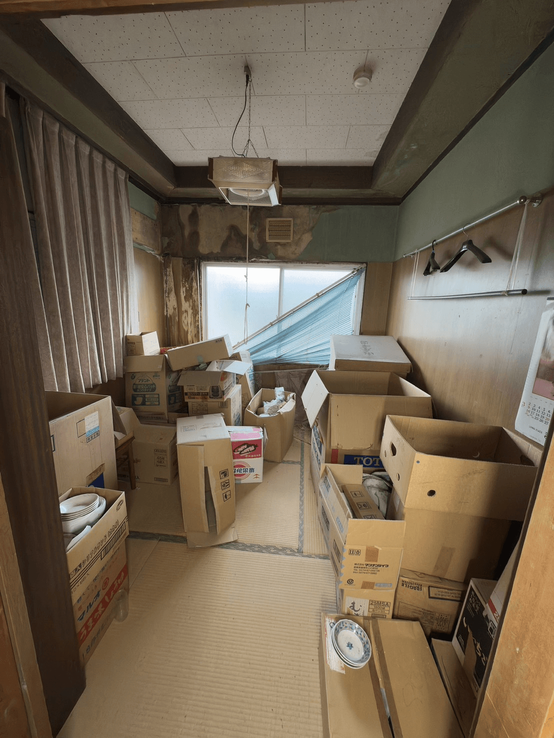post-image-7310