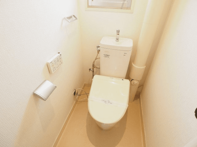 post-image-5565
