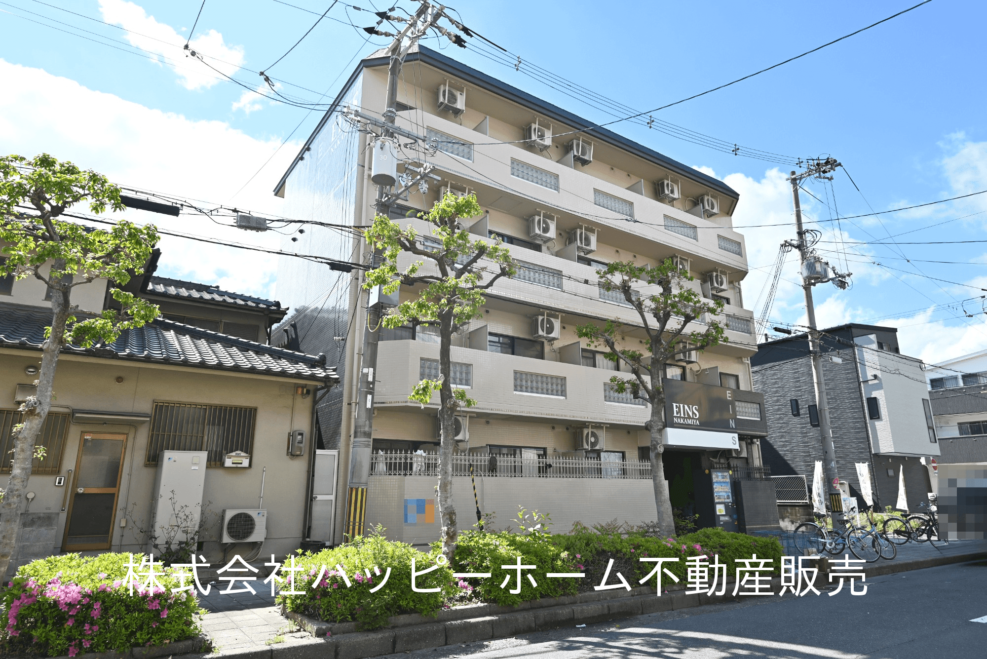 post-image, 20250506178