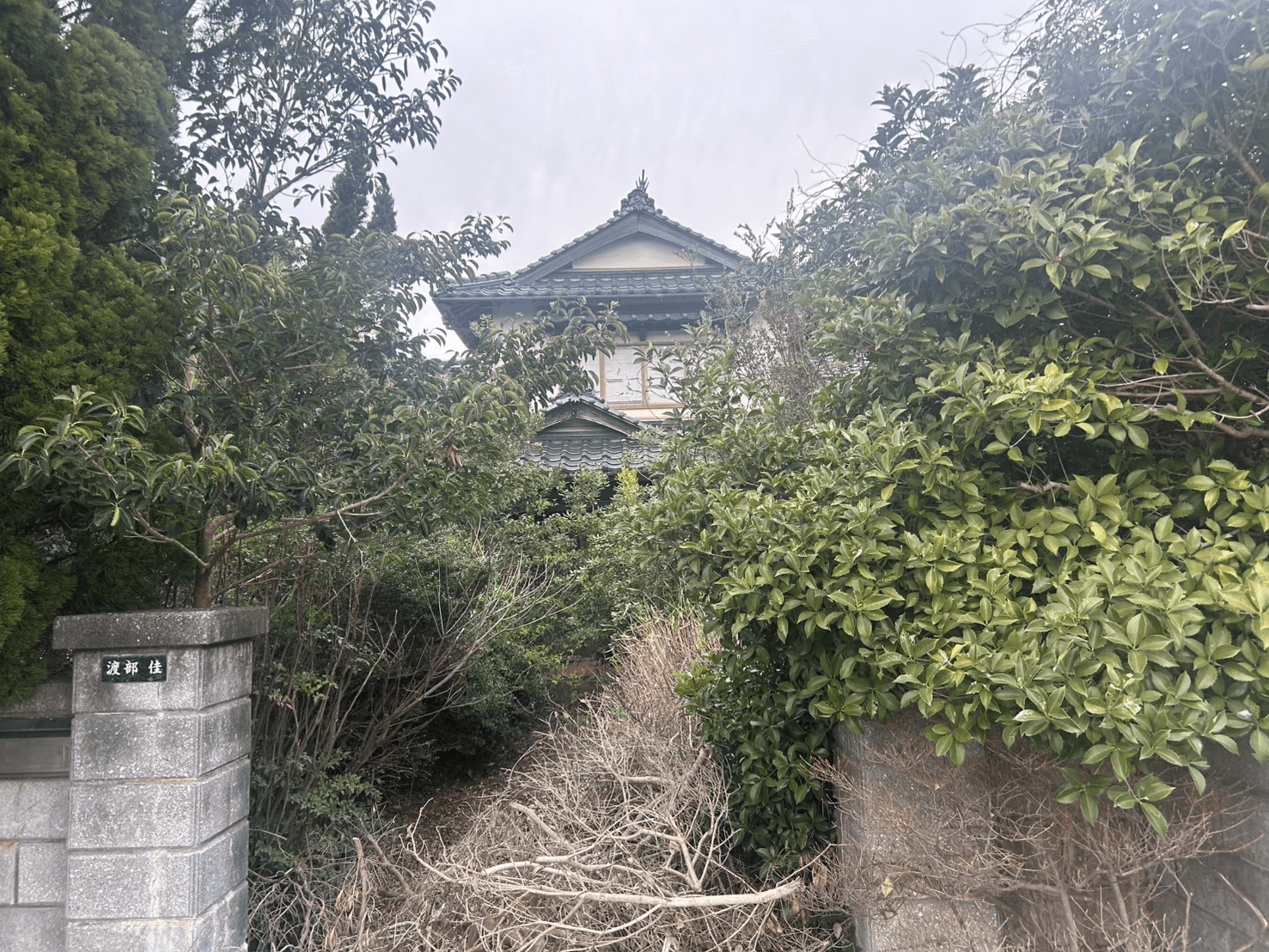 post-image, 20250507426