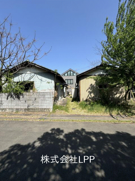post-image, 20250510660