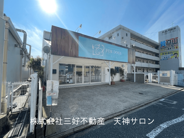 post-image, 20250511305