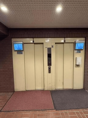 post-image, 20250512186