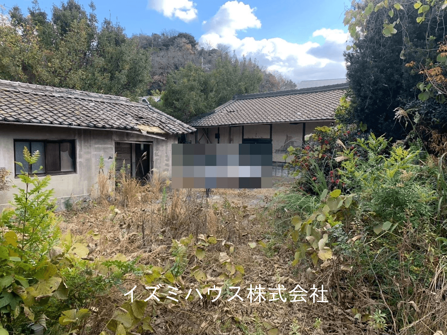 post-image, 20250513671