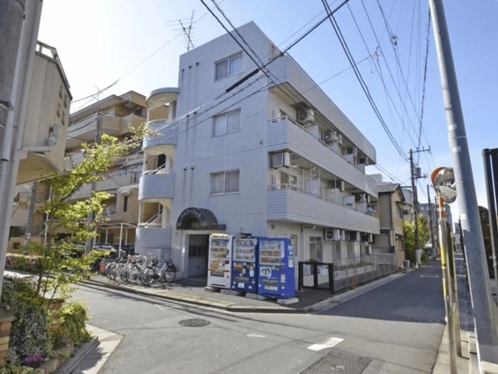post-image, 20250513705