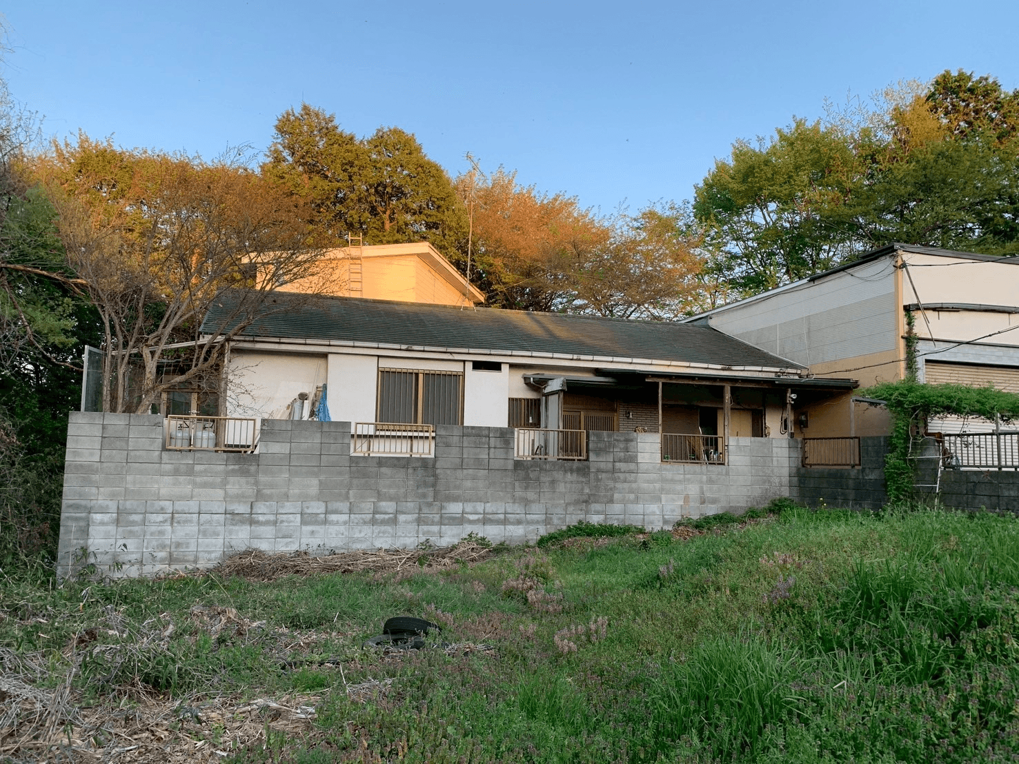 post-image-51987