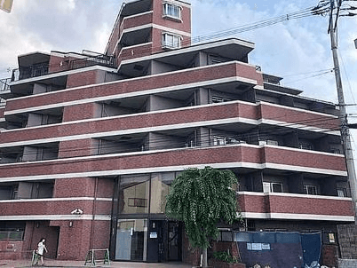 post-image, 20250515181