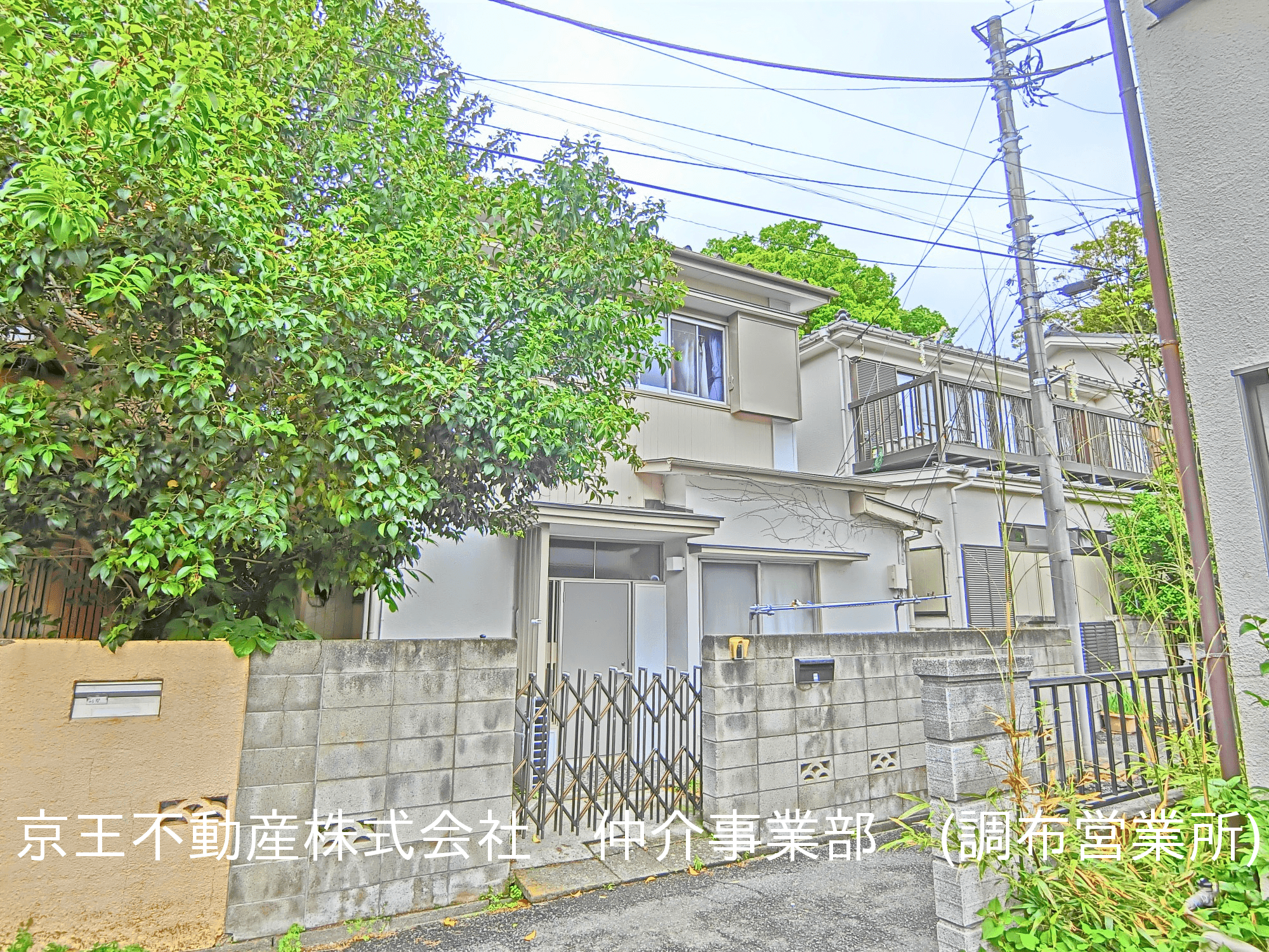 post-image, 20250515228