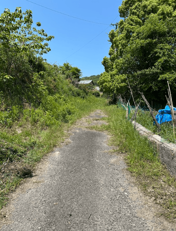 post-image-60824