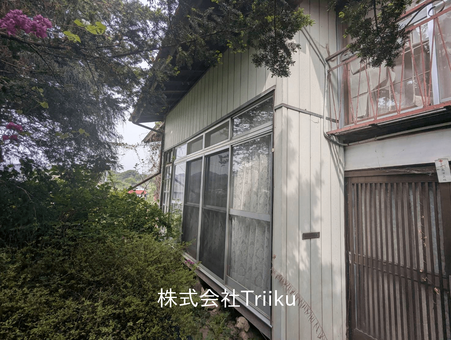 post-image, 20250515503