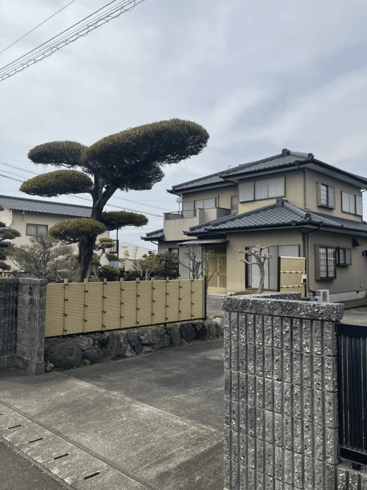 post-image, 20250516190