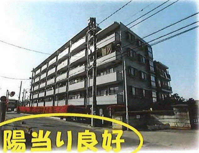 post-image, 20250516292