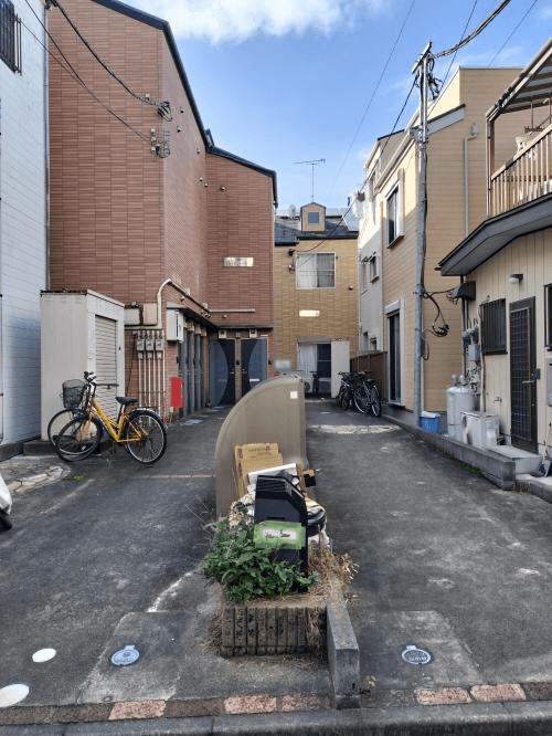 post-image, 202505169