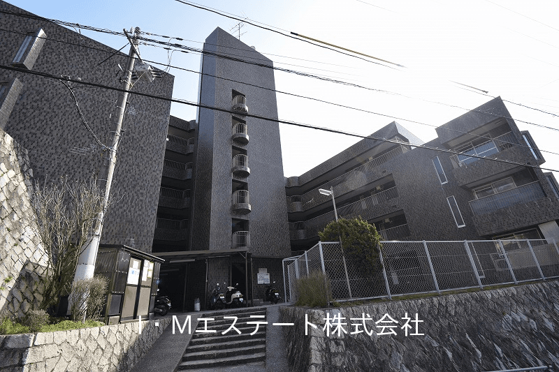 post-image, 20250516963