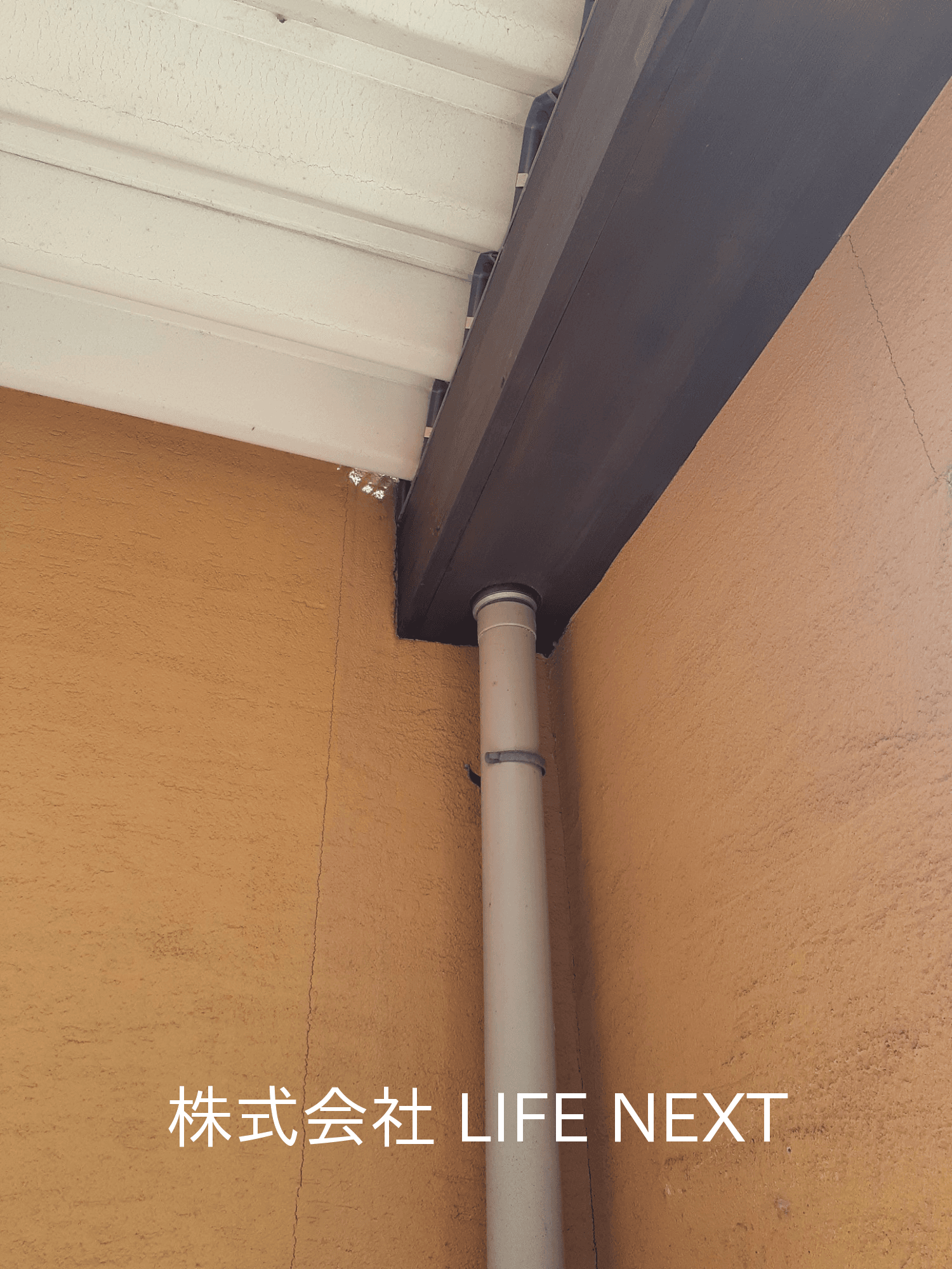 post-image, 20250517654