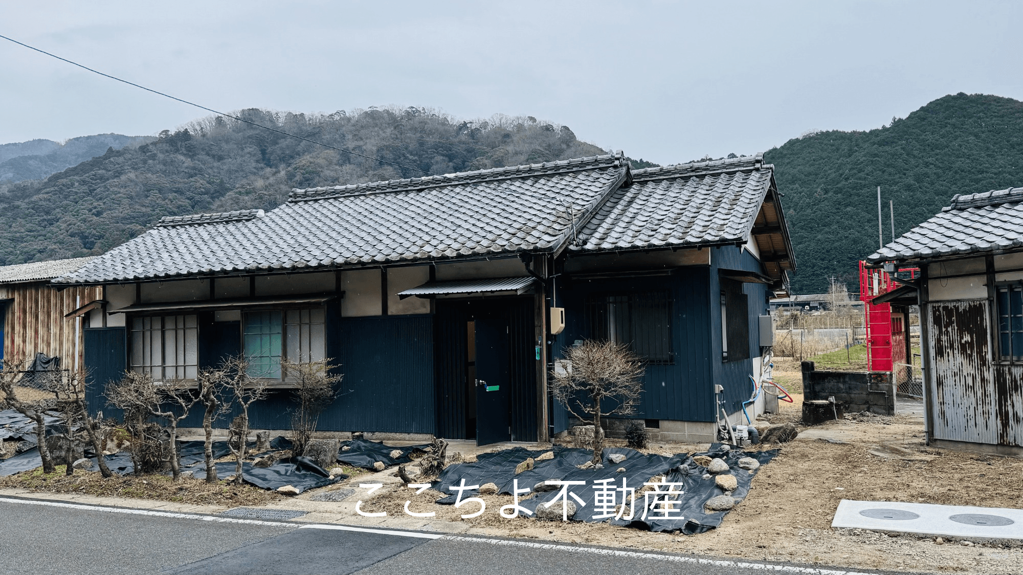 post-image, 20250517785