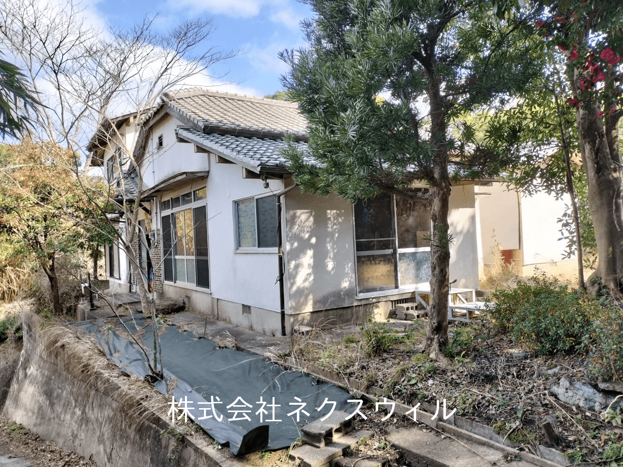 post-image, 202505201021