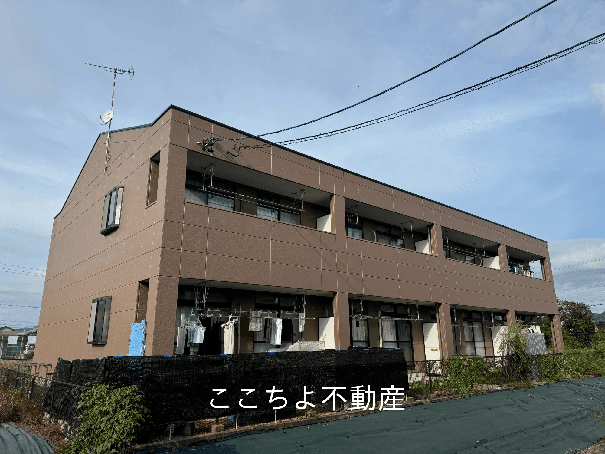 post-image, 20250520615