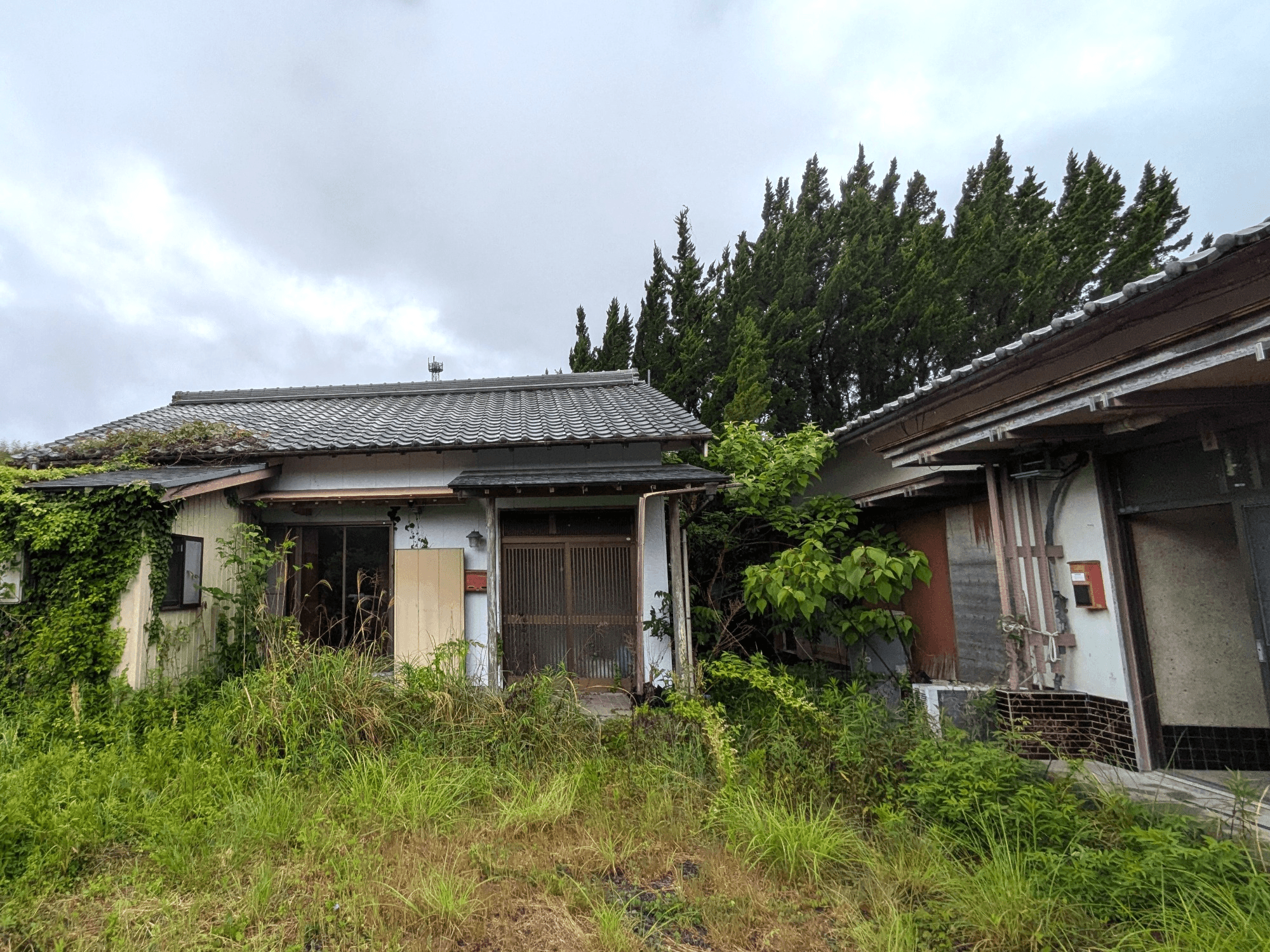 post-image, 20250521274
