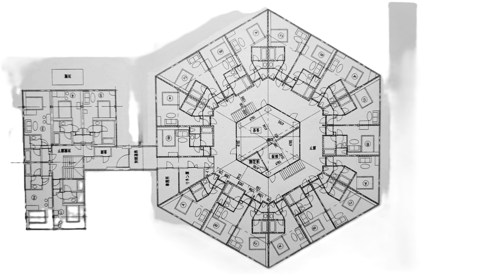 post-image, 20250522848