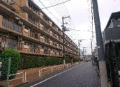post-image, 20250522909