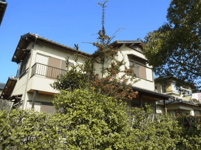 post-image, 20250524171