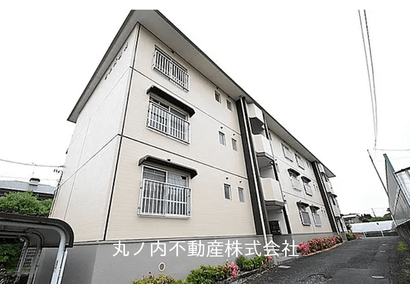 post-image, 2025052423