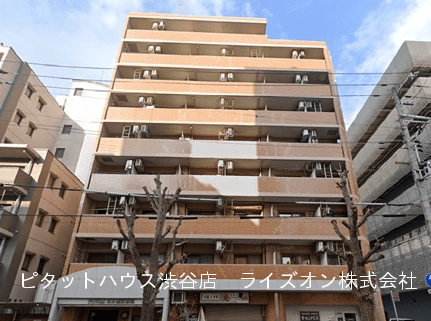 post-image, 20250524258
