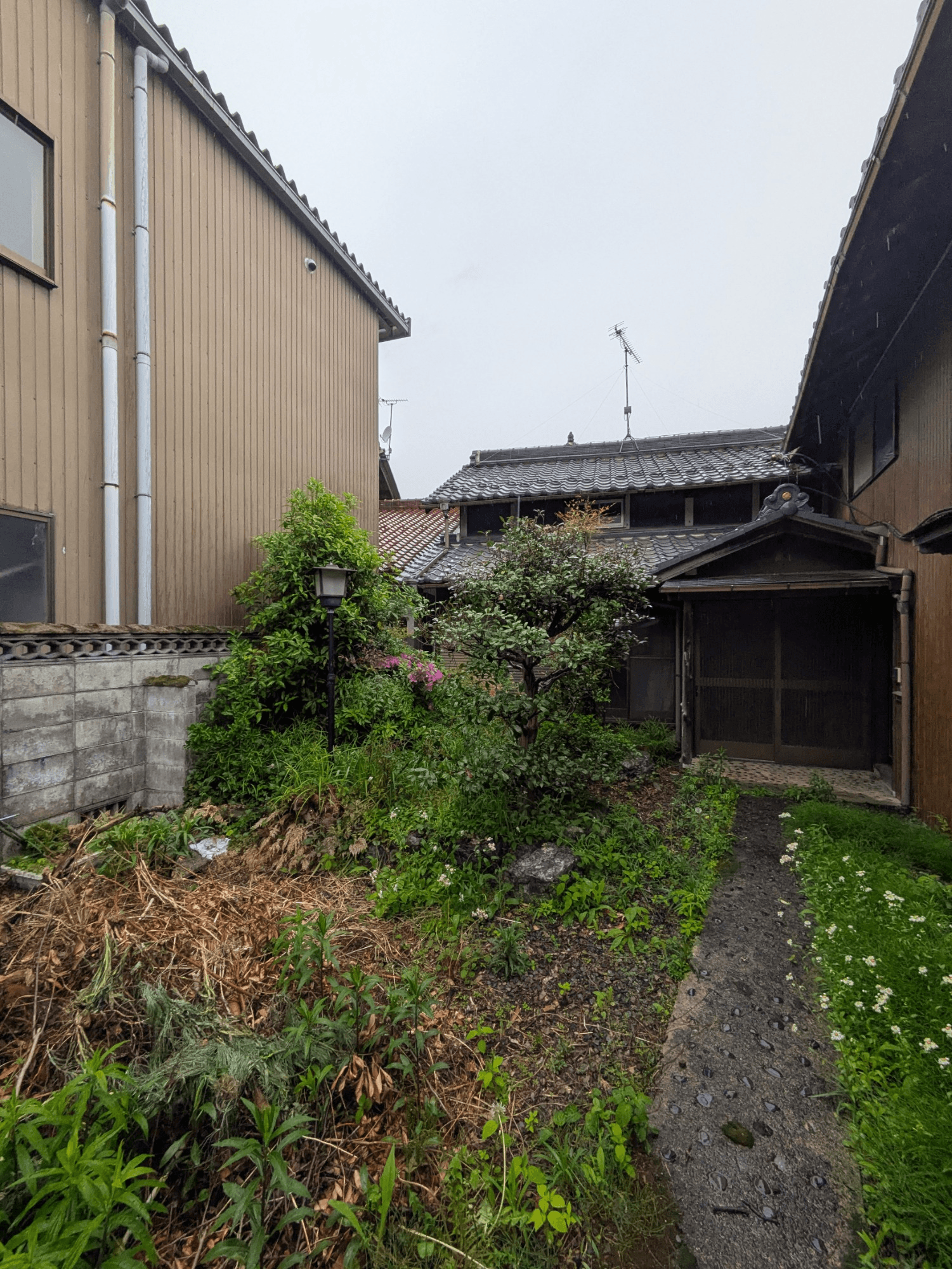 post-image, 20250527252
