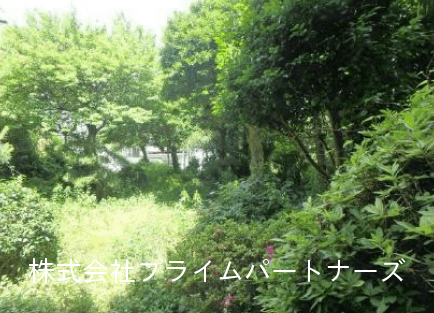post-image, 20250528518