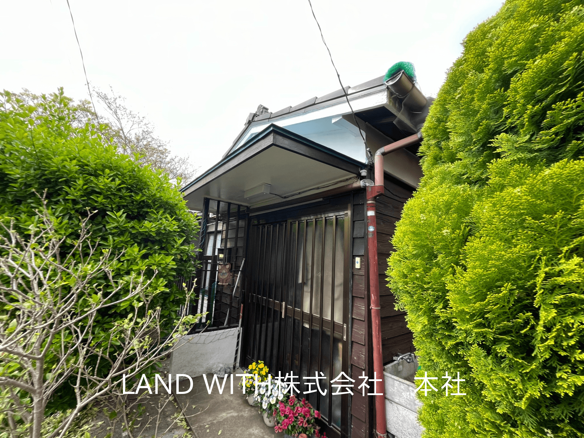 post-image, 2025052869