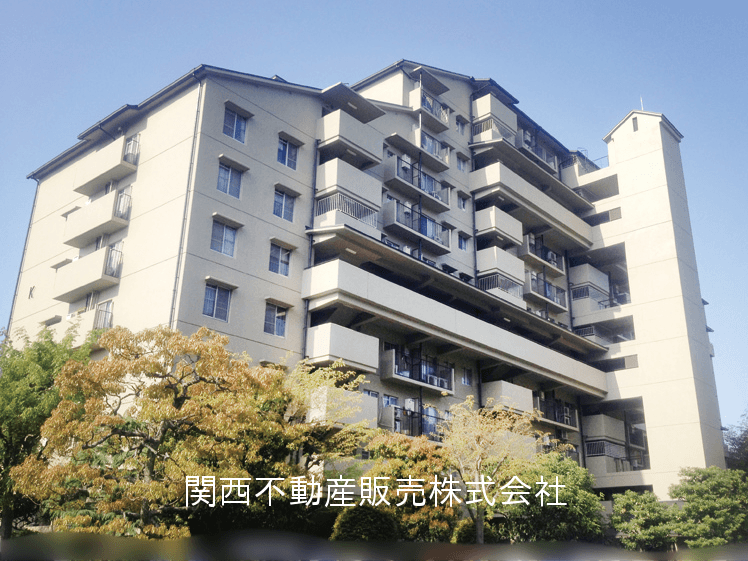 post-image, 20250601127