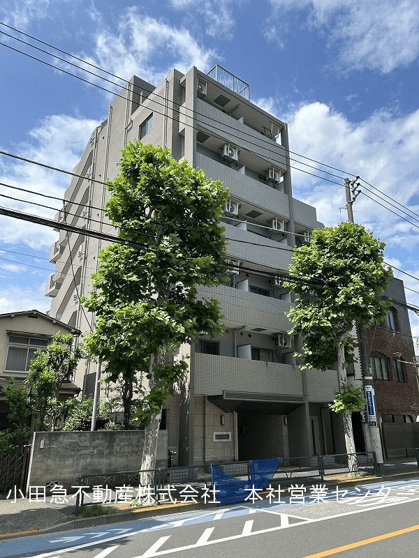 post-image, 20250602253