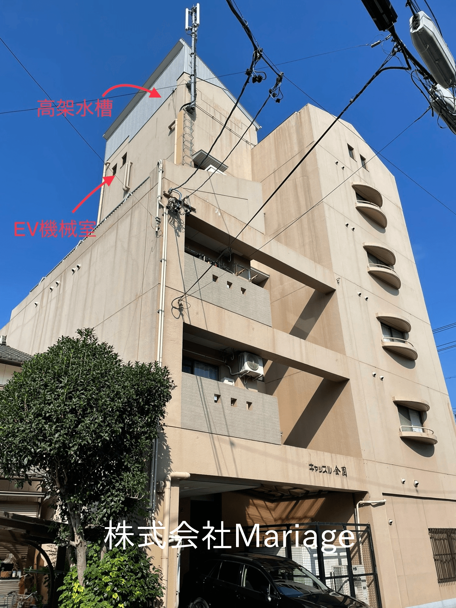 post-image, 2025060415