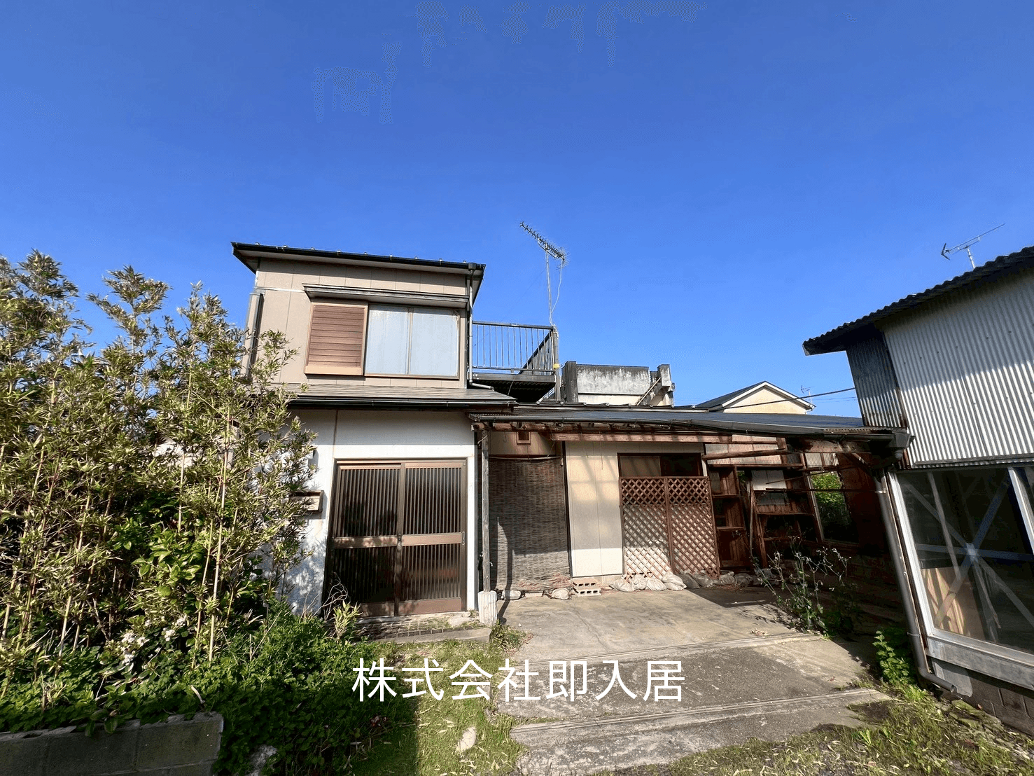 post-image, 2025060427