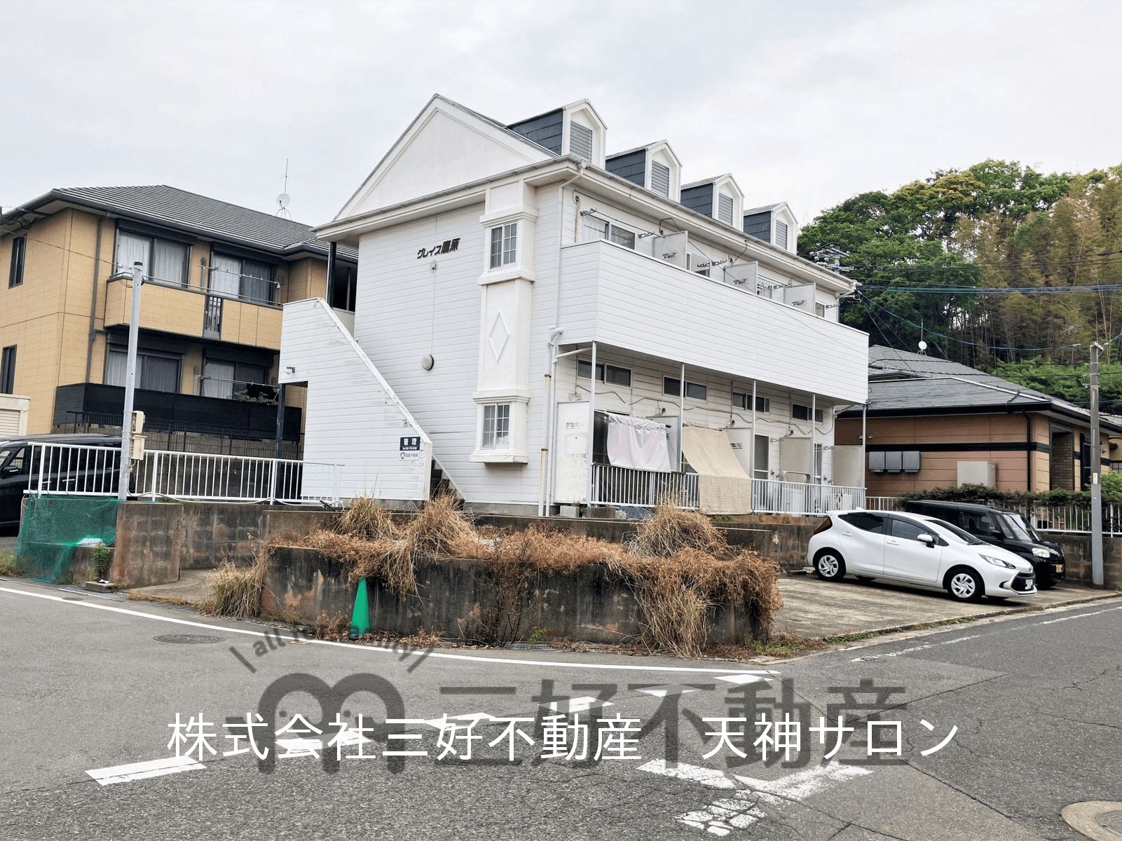 post-image, 2025060453