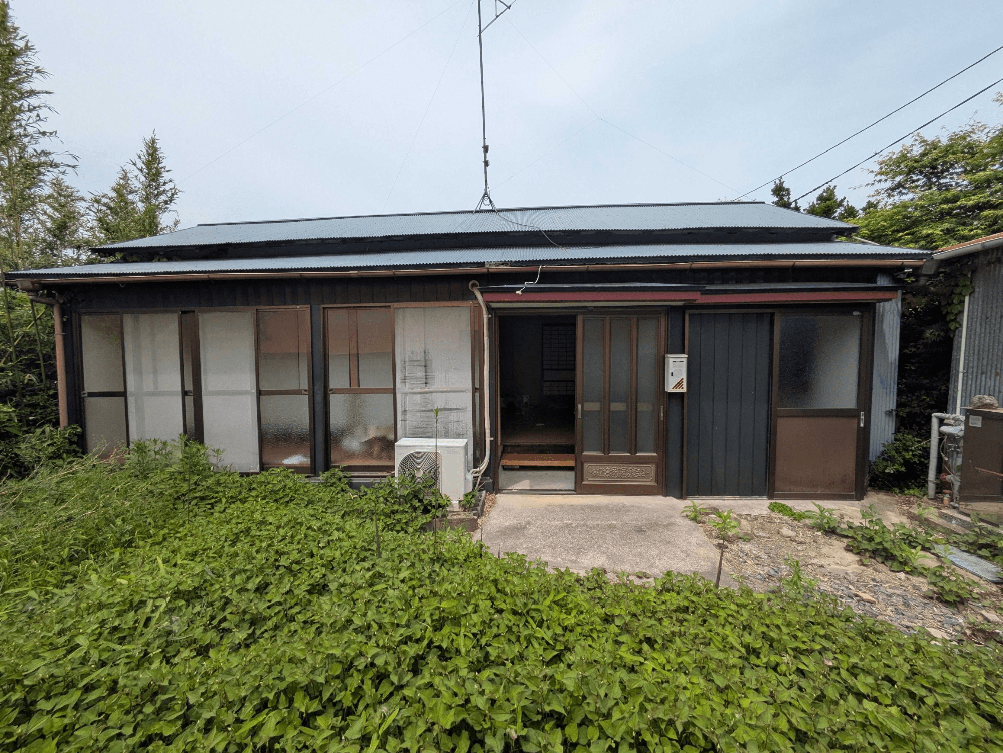 post-image, 20250604563