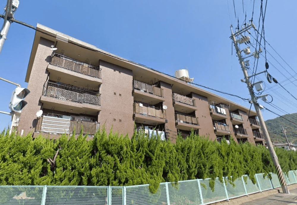 post-image, 20250605154