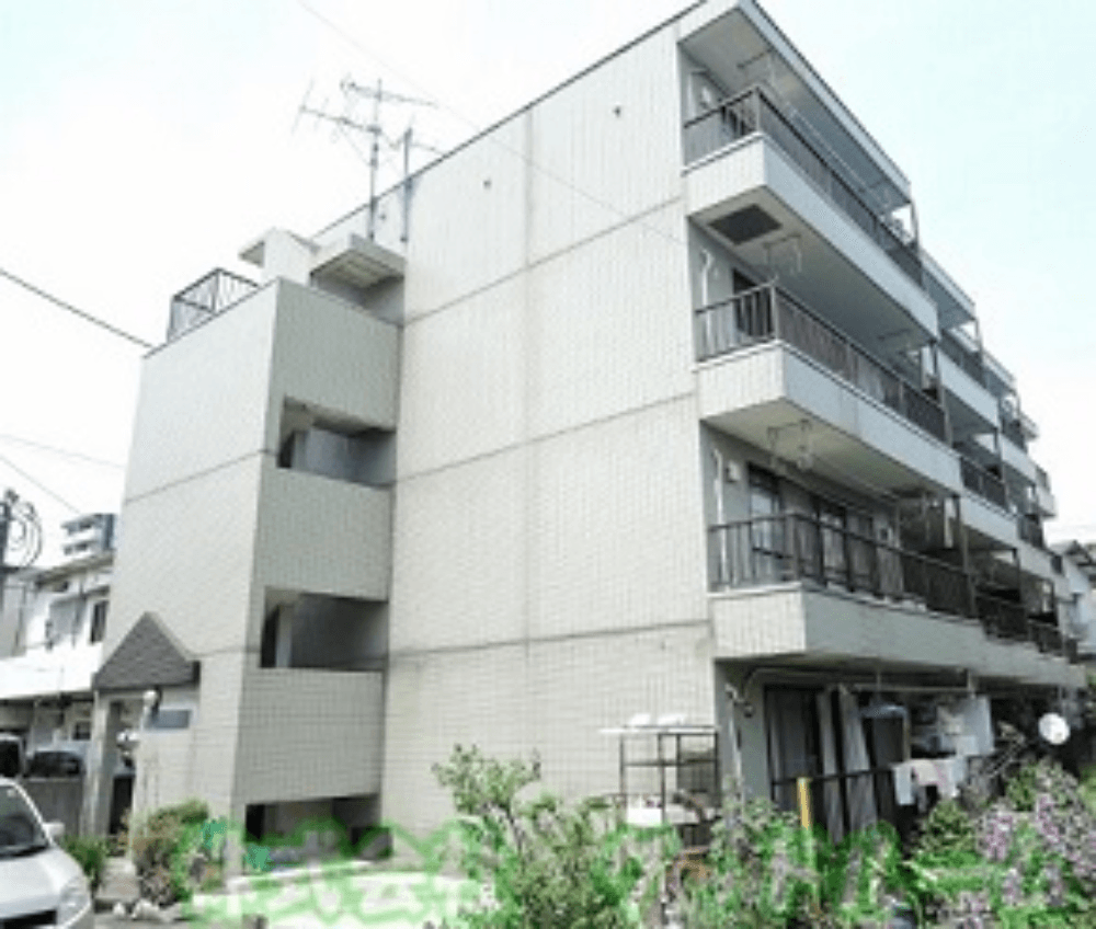 post-image, 202506058