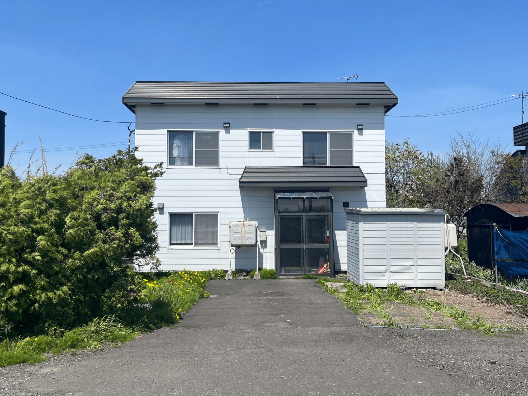 post-image, 20250607396