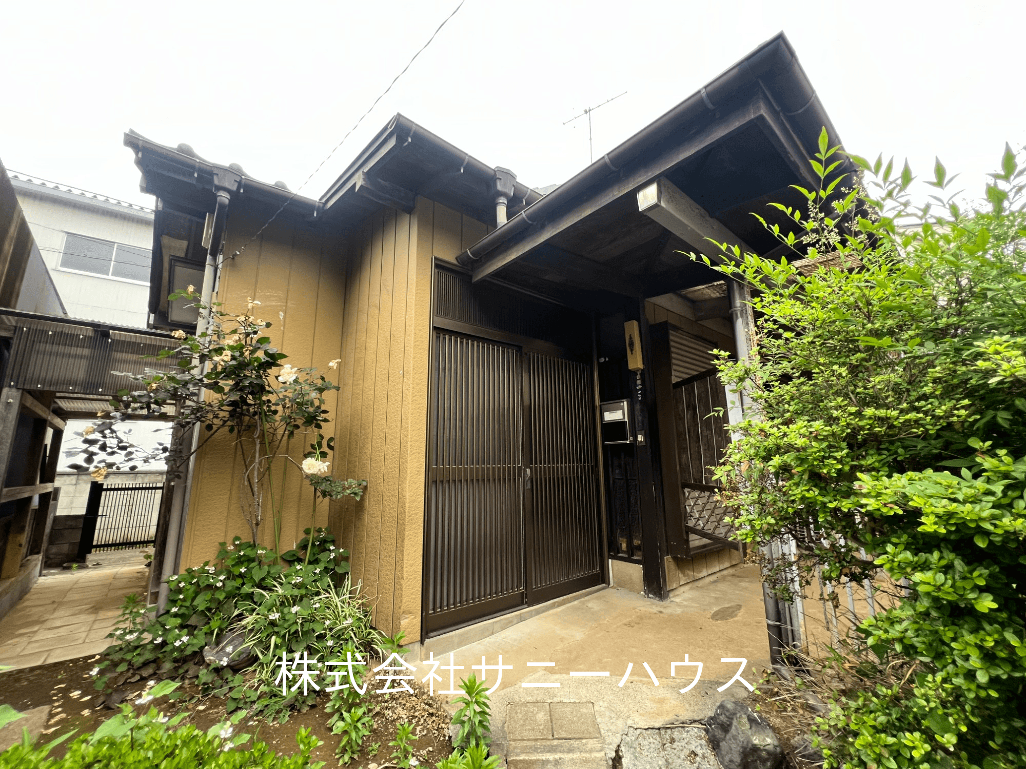 post-image, 20250607411