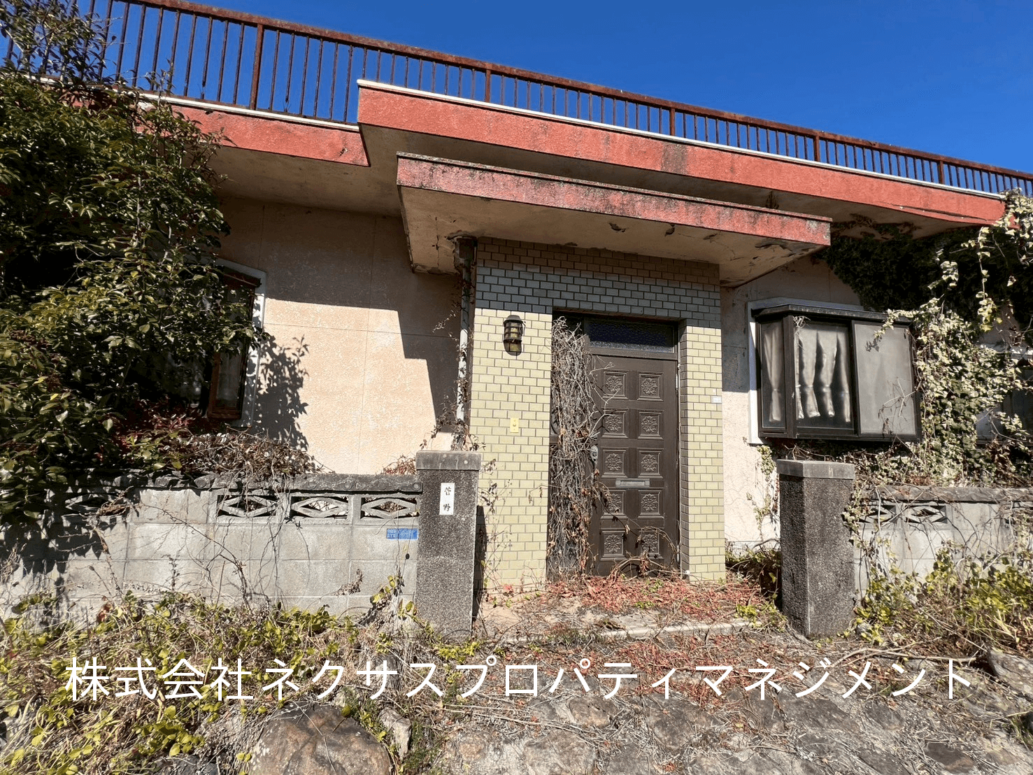 post-image, 20250607671