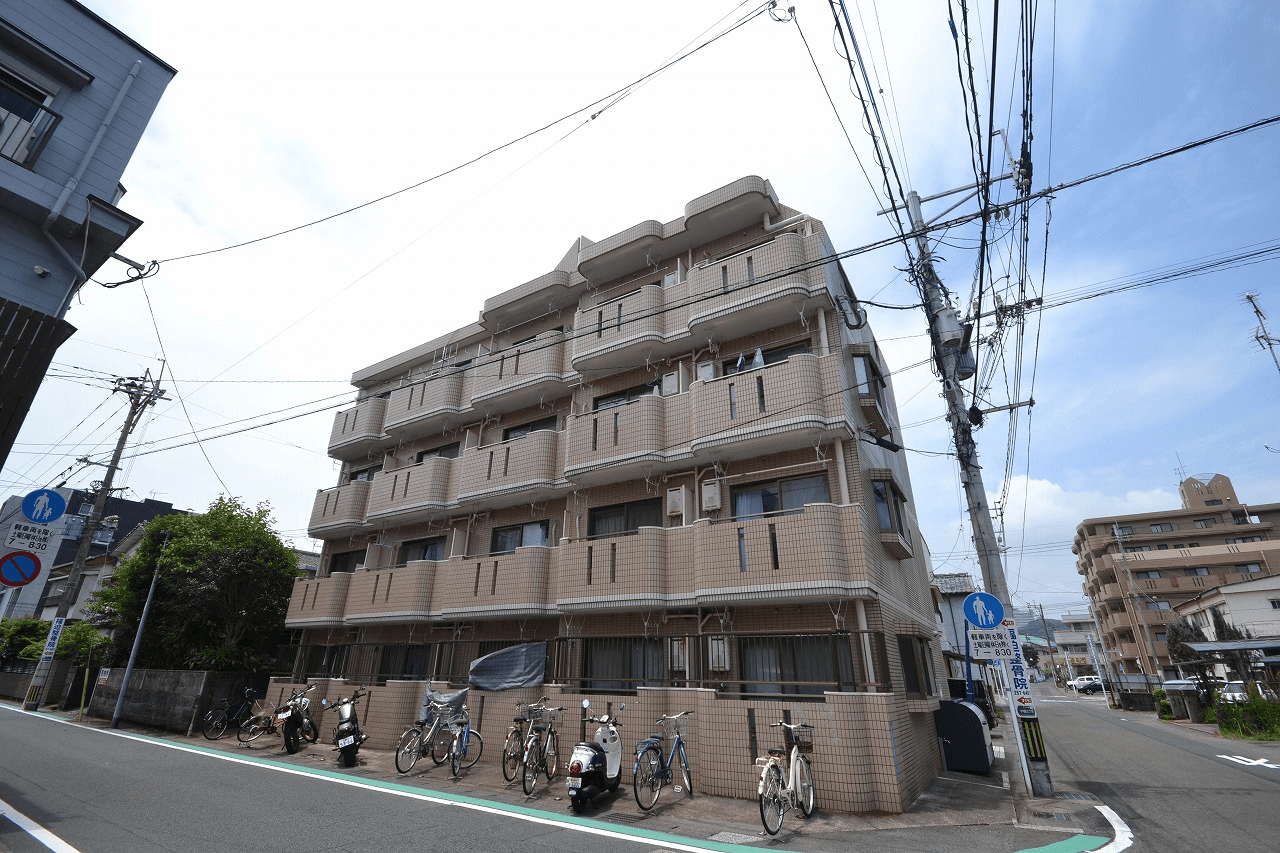 post-image, 20250610305