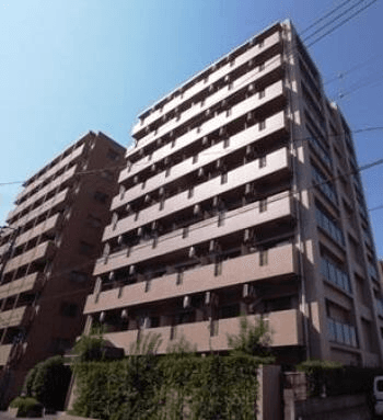 post-image, 20250611159