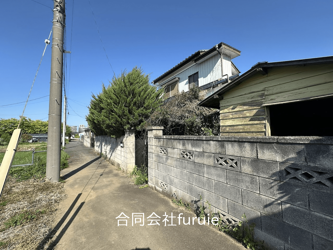 post-image, 202506113
