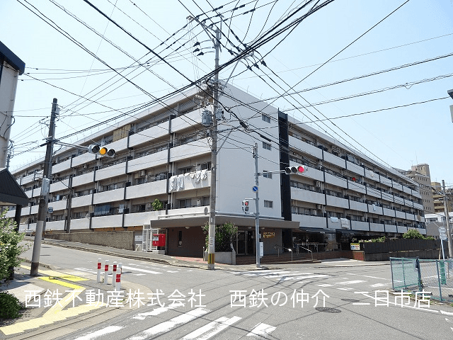 post-image, 20250612391