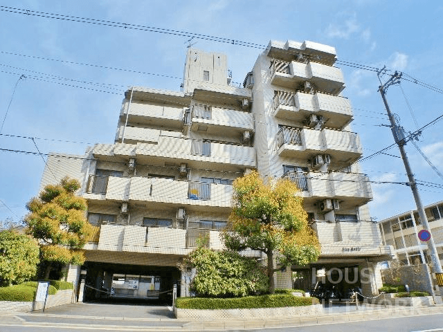 post-image, 20250612392