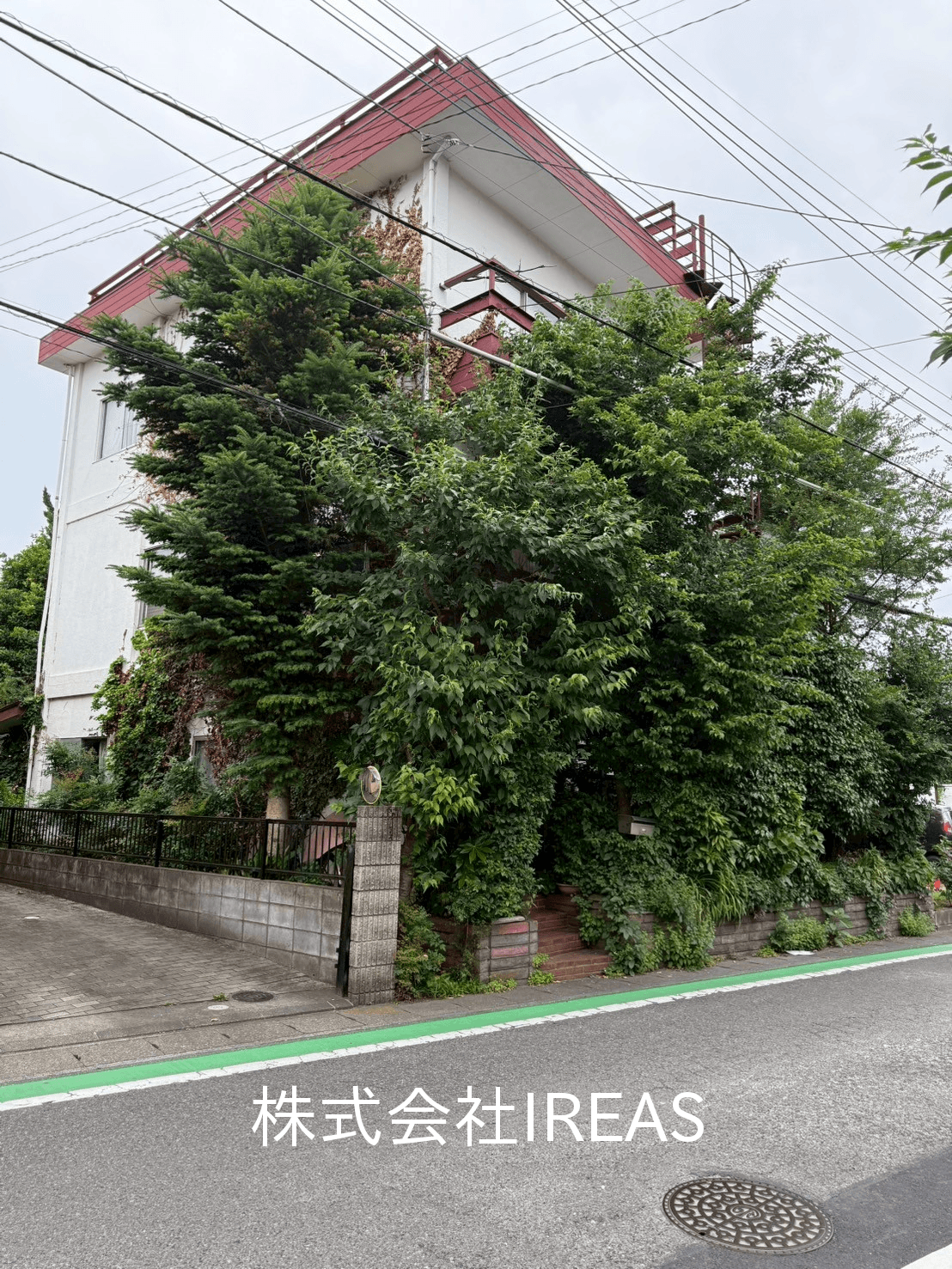 post-image, 20250612629