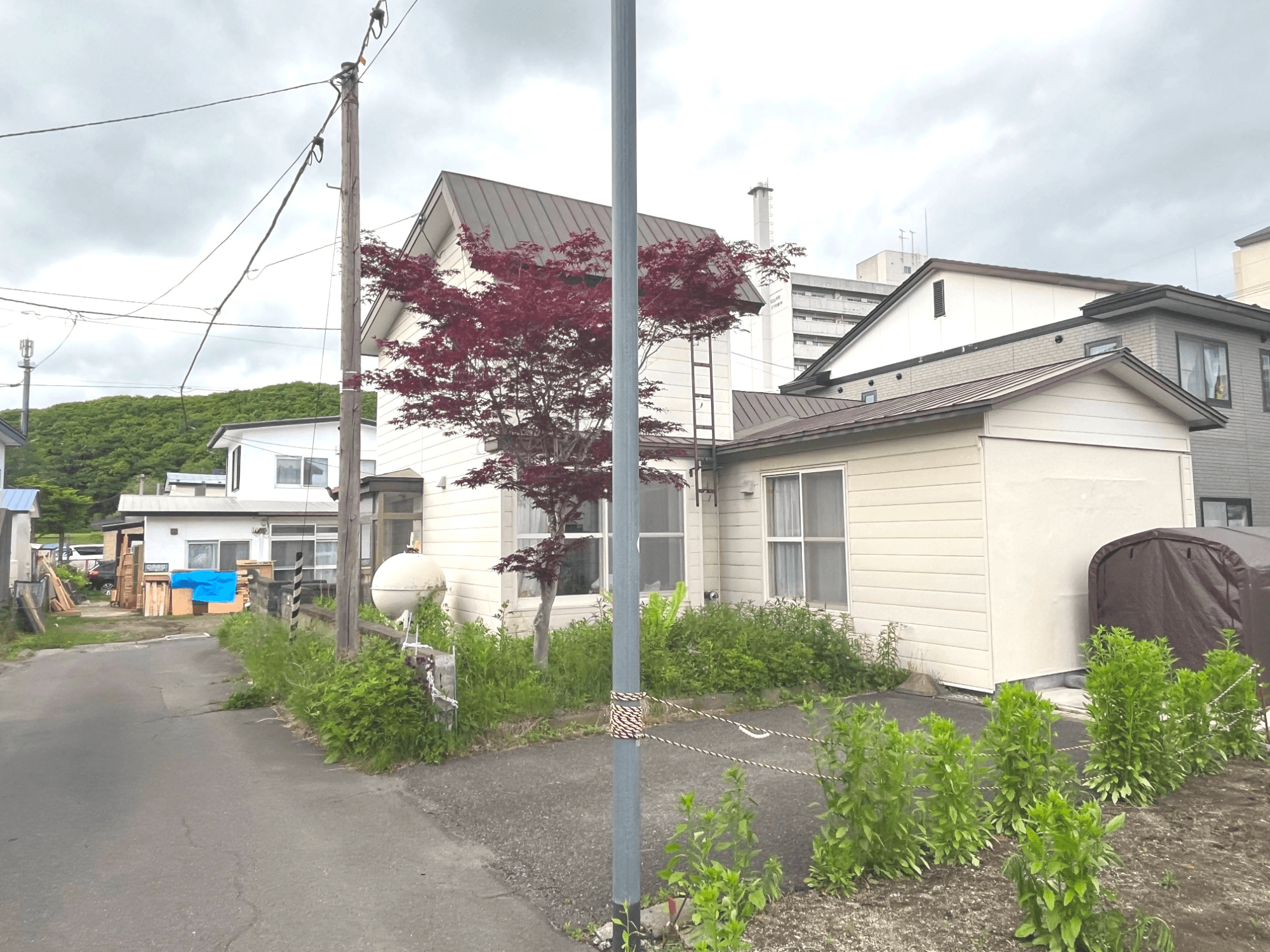 post-image-1415334